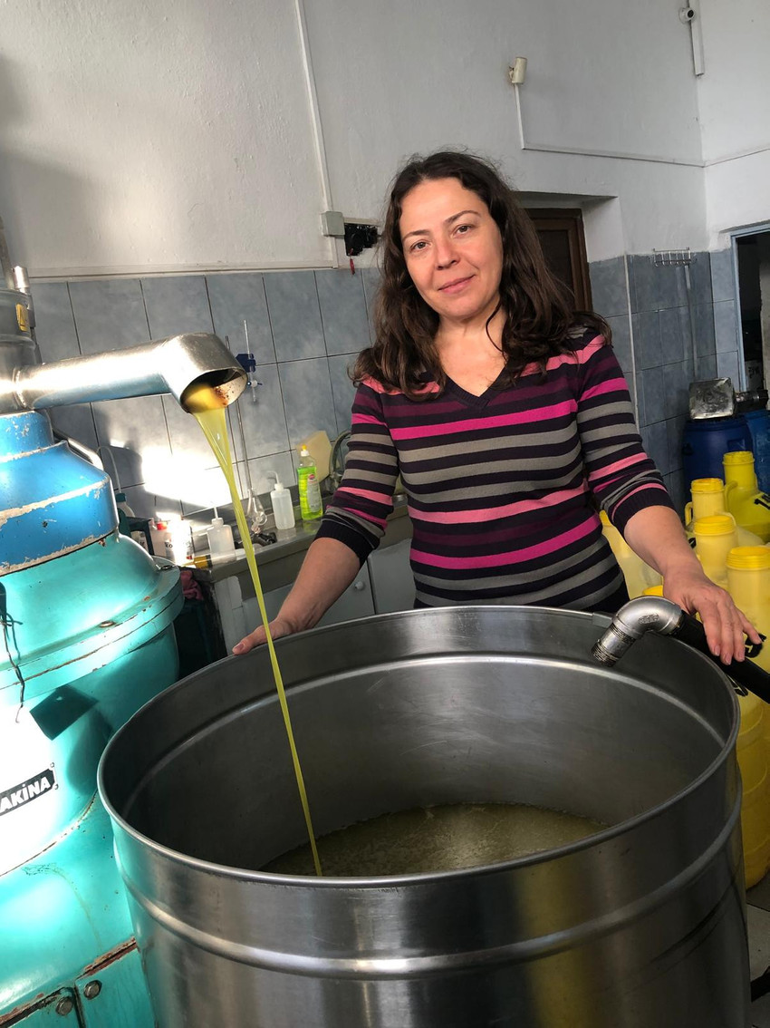 Zeytin üreticisi dertli: 'Maliyetler artıyor, fiyatlar geriliyor' - Resim : 1
