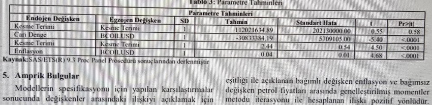 Kasırga kapıya dayandı, ekonomiyi nasıl bir tablo bekliyor? - Resim : 7