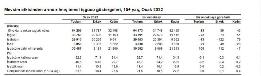 Geniş tanımlı işsizlik oranı yüzde 22,9 oldu - Resim : 2