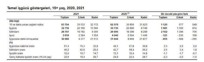 TÜİK hesabı: 2021'de işsizlik yüzde 24,4 oldu - Resim : 3