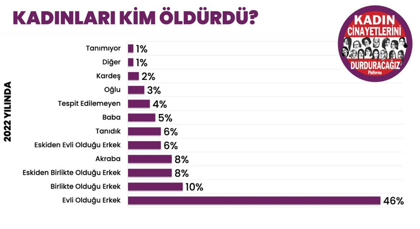Kadın Cinayetlerini Durduracağız Platformu: 2022’de 334 kadın öldürüldü - Resim : 3
