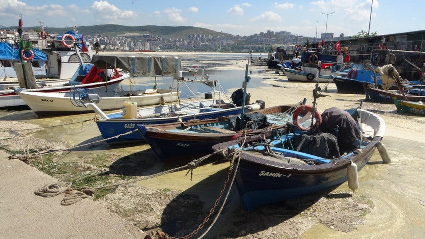 ‘Doğa olayı’ denildi önlem alınmadı: Algler denizlerde yayıldı - Resim : 1