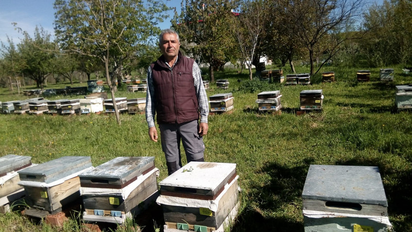 Dersim'de kımıl böceği tedirginliği: 'Arılar ölecek...' - Resim : 1