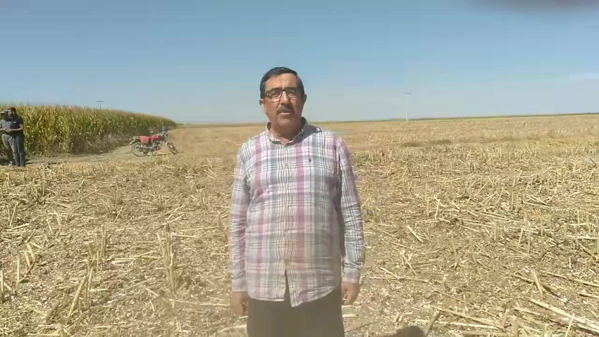 Konya'da kuraklık: Pek çok üründe rekolte düşüşü bekleniyor - Resim : 1