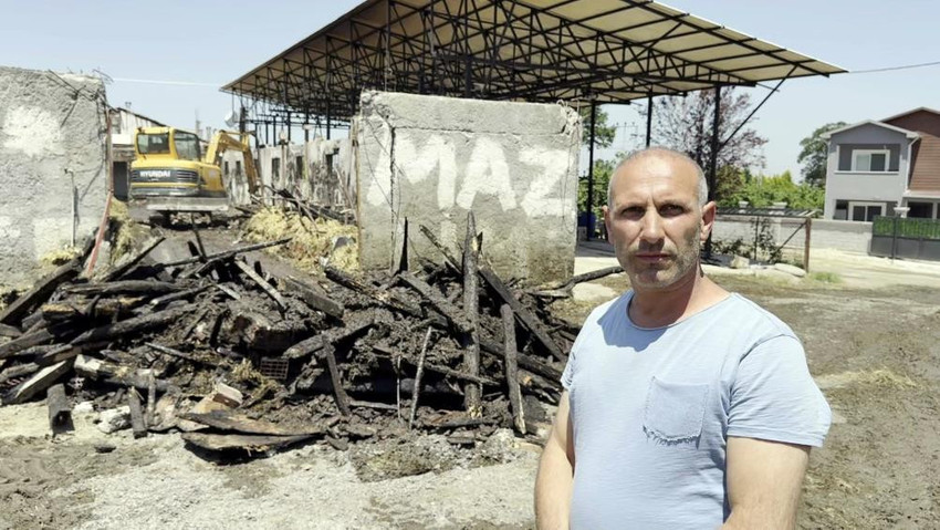 Incendie déchirant à Sakarya avant l'Aïd al-Adha : 17 animaux sacrificiels ont péri - Photo : 2