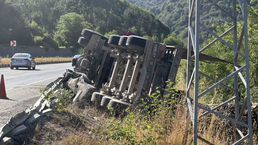 Log-loaded truck overturned in Zonguldak: Driver escaped the accident without injury - Picture : 1