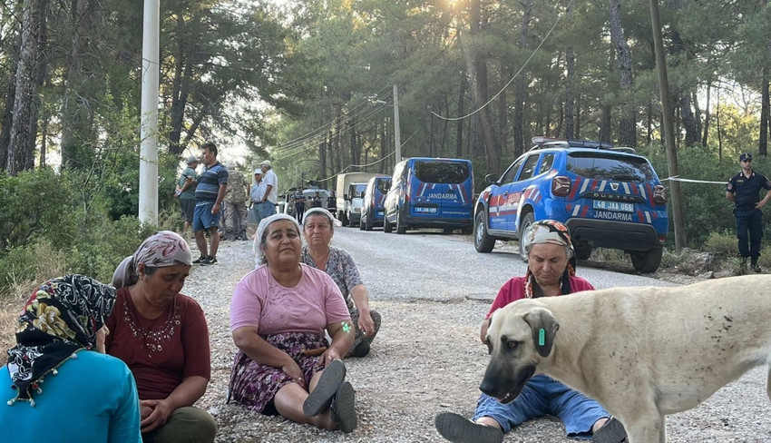 Ümidi kesme yurdundan - Resim : 2
