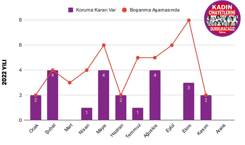 Kadın Cinayetlerini Durduracağız Platformu: 2022’de 334 kadın öldürüldü - Resim : 1
