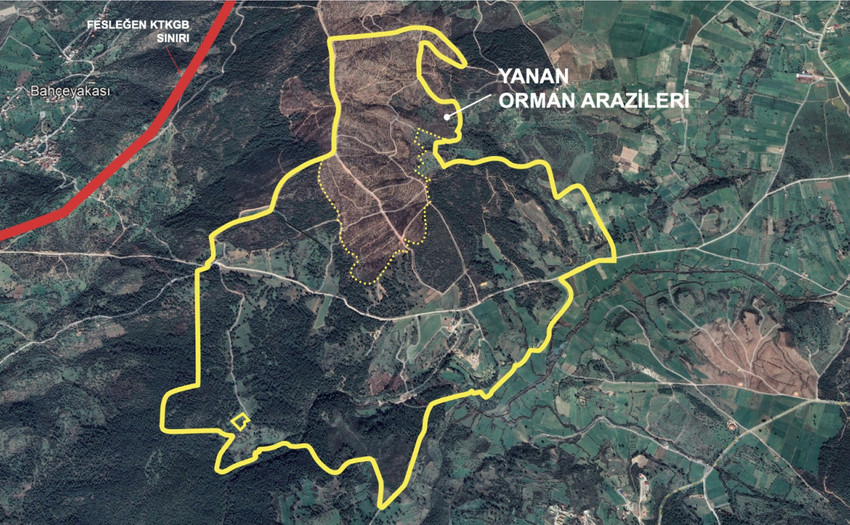 Bodrum ve Milaslılar dikkat: Hollanda bağlantılı dev yağma - Resim : 4