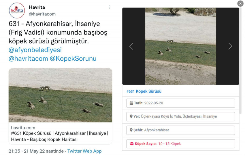 HAYKURDER Başkanı Paçalı: Havrita köpekleri hedef gösteriyor - Resim : 3