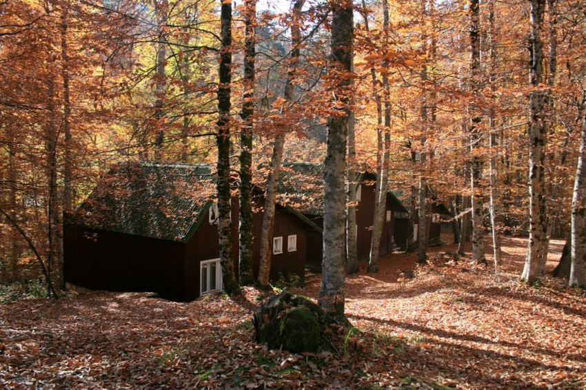 Burası Bolu, öyne de olu, böyne de olu - Resim : 8