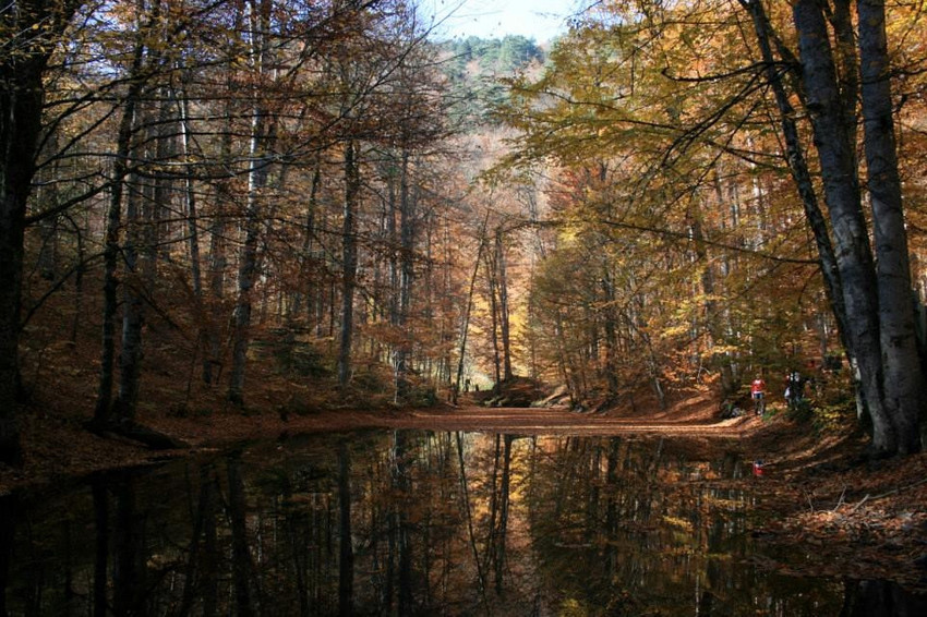 Burası Bolu, öyne de olu, böyne de olu - Resim : 9