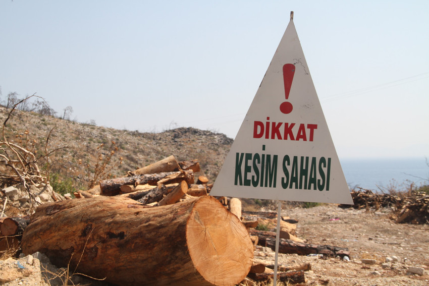 Yangın sonrası köylüler arazilerini satıyor: Yetkililer unuttu, destek yetersiz - Resim : 3