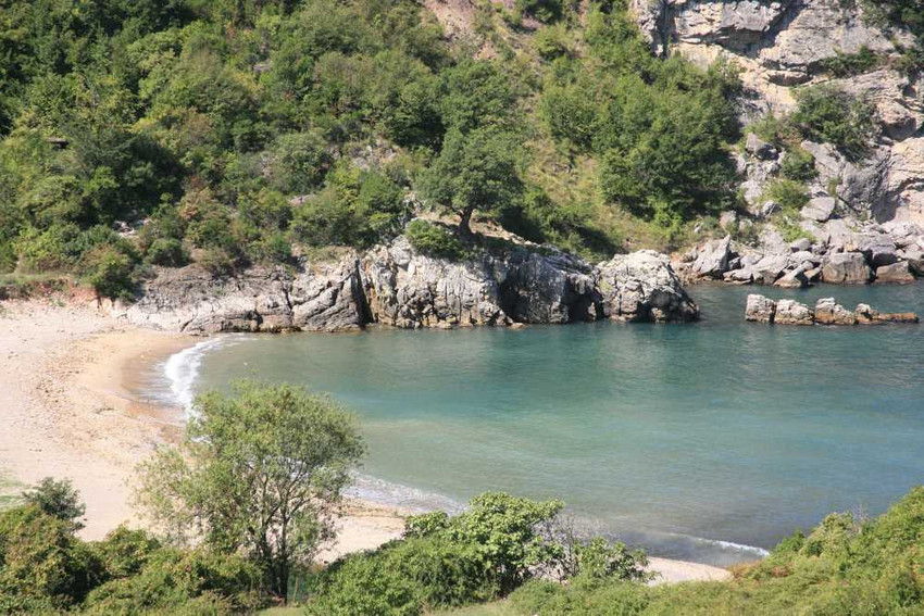 Zonguldak’ın Zo’su - Resim : 12