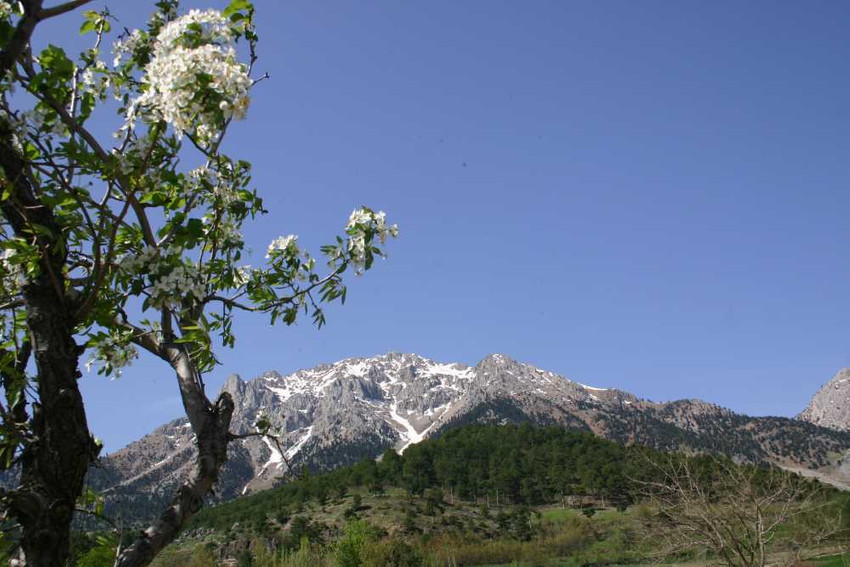 Haydi gidek Maraş’a, kurbanım kara kaşa - Resim : 20