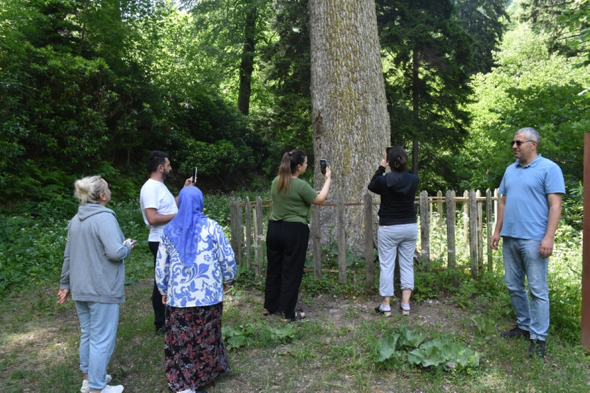 Oksijen deposu Örümcek Ormanları doğaseverleri ağırlıyor - Resim : 1