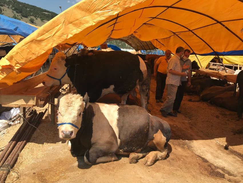 Besici dertli: Desteği kaşıkla verip kürekle geri alıyorlar - Resim : 1