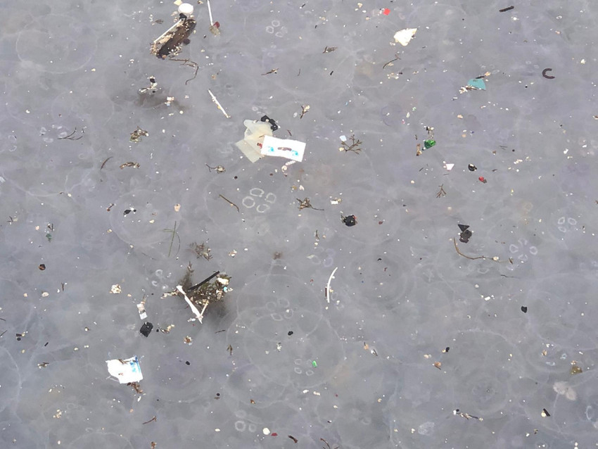 Marmara Denizi'ni eylem planı da kurtaramadı: 'Artık daha kirli...' - Resim : 3