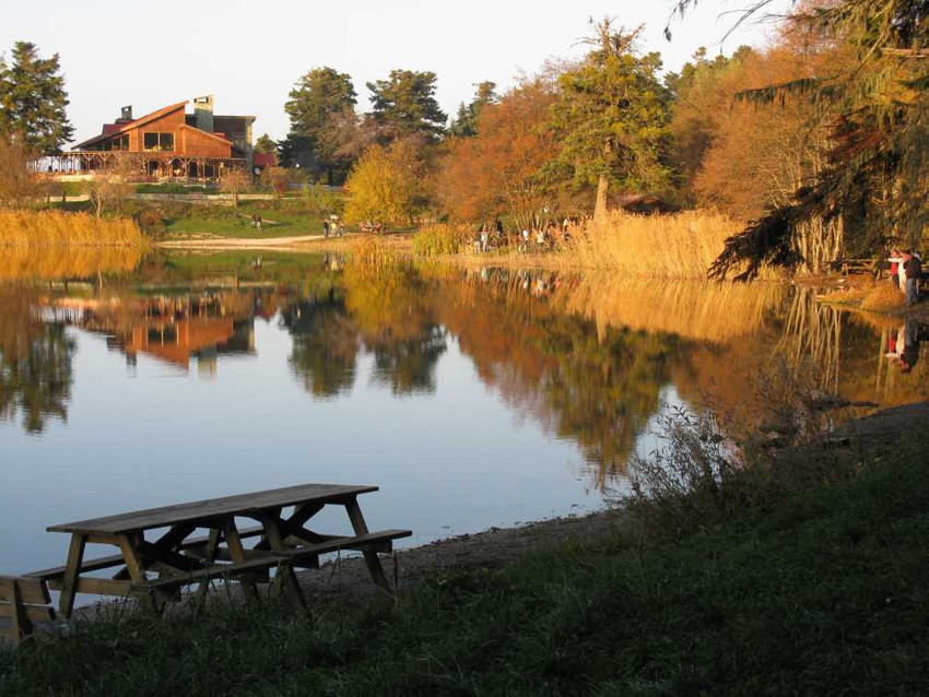 Günübirlik tatil planı: Gölcük Tabiat Parkı - Resim : 2