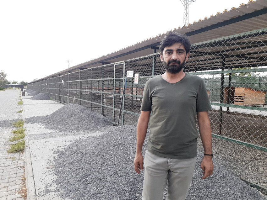 Hayvan katliamından önce insanın içindeki vahşi terbiye edilmeli - Resim : 3