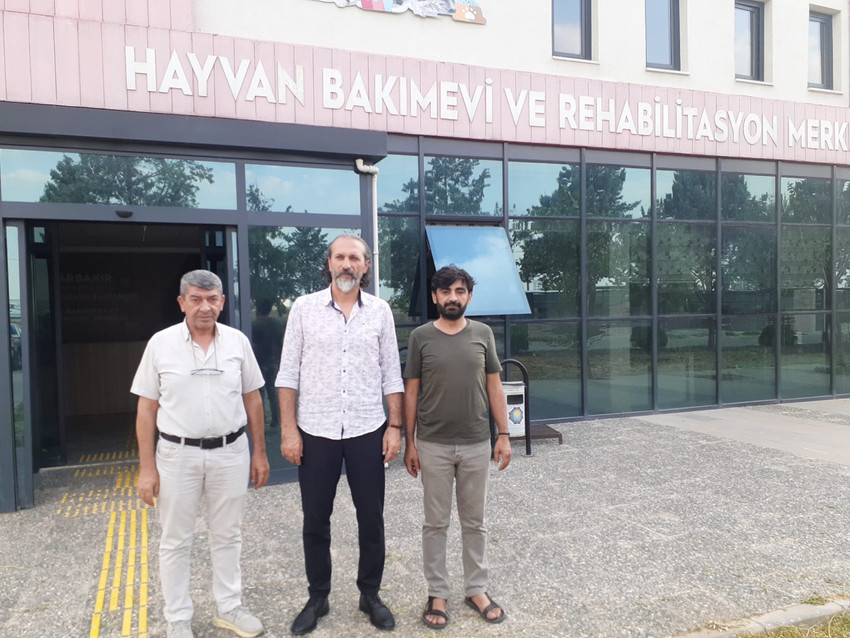 Hayvan katliamından önce insanın içindeki vahşi terbiye edilmeli - Resim : 7