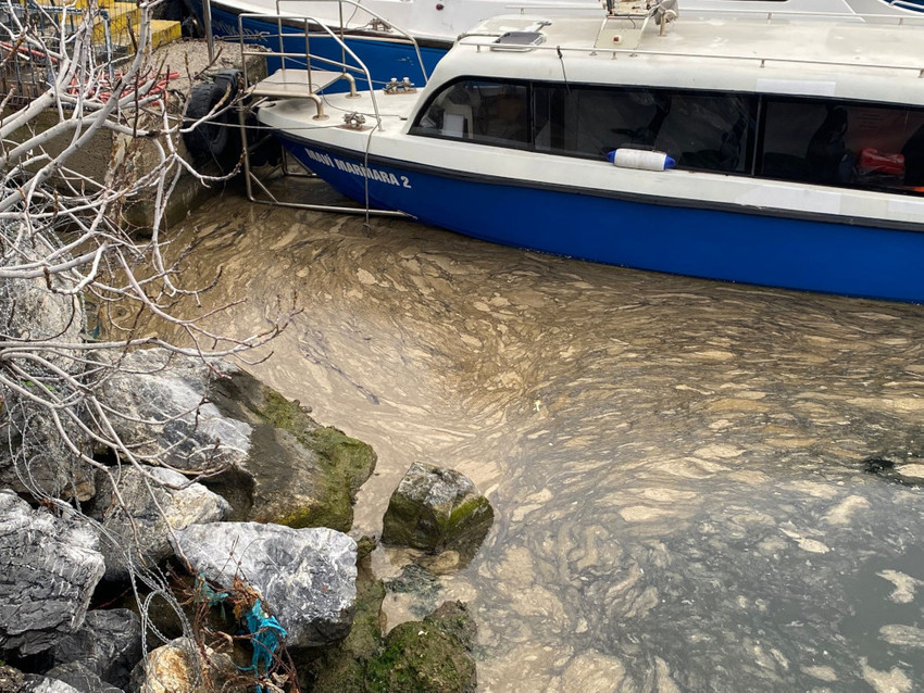 Marmara'ya yayılıyor: Müsilaj Kadıköy'e dayandı - Resim : 1