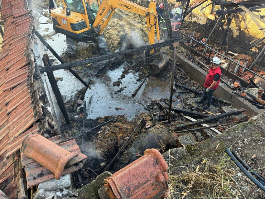 Incendie déchirant à Sakarya avant l'Aïd al-Adha : 17 animaux sacrificiels ont péri - Photo : 1