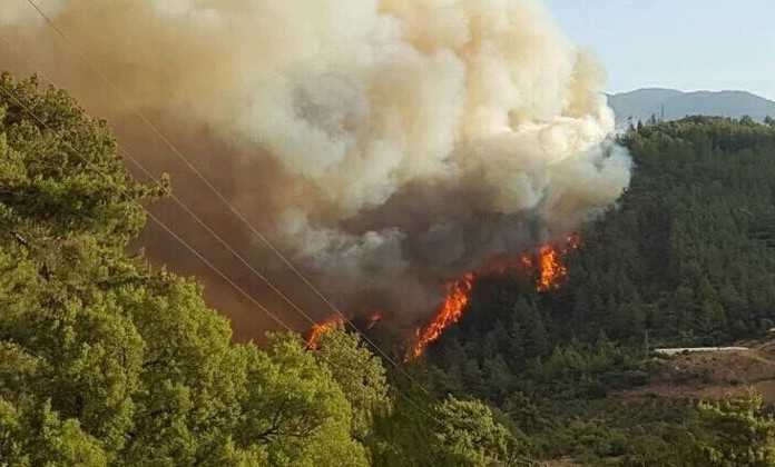 HDP'den 'Lice yangını' özrü