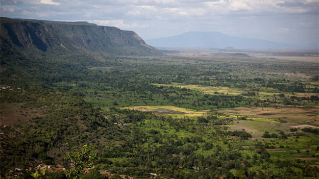 Tanzanya'da dev keşif