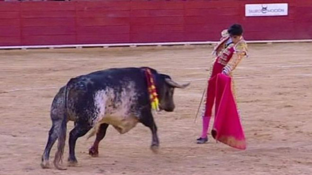 Boğa güreşlerinde 31 yıl sonra ilk kez matador öldü