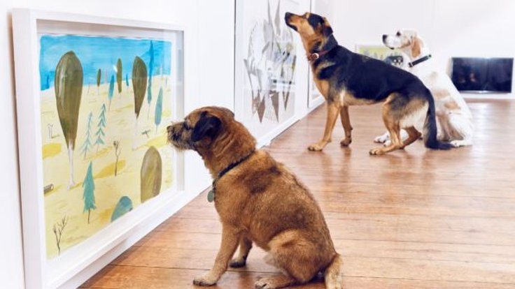Köpeklere özel sanat sergisi