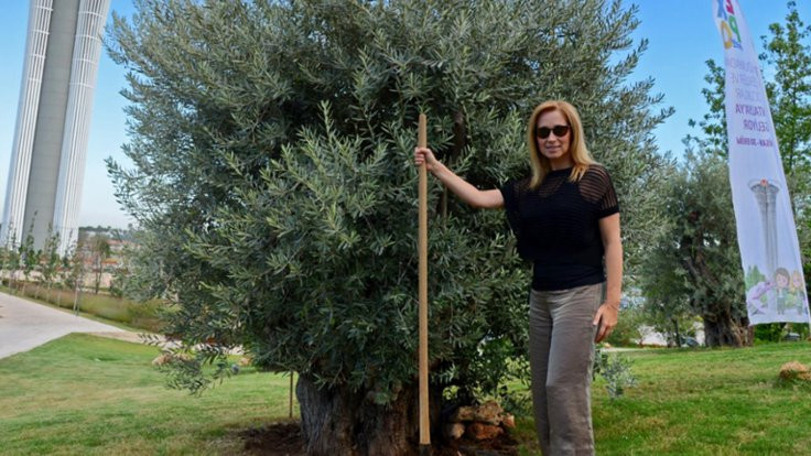 Lara Fabian zeytin ağacı dikti