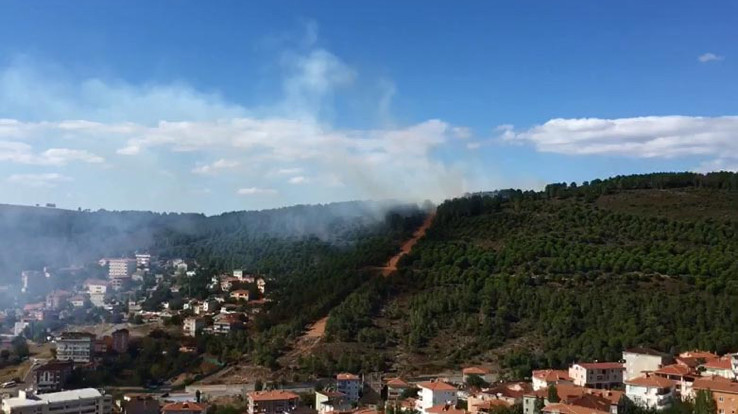 Maltepe'de orman yangını