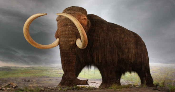 Alaska mamutlarının sırrı çözüldü