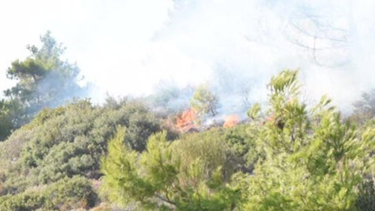 Karaburun'da piknikçi ateşi ormanı yaktı