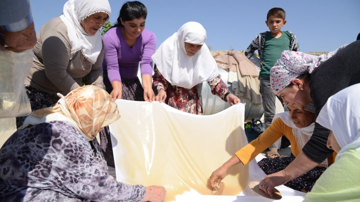 Diyarbakır'da yaşlılar ve gençler bağ bozumunda