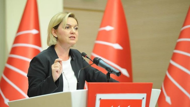 CHP'li Selin Sayek Böke: Reel sektör krizi, bankacılık krizine dönüşebilir