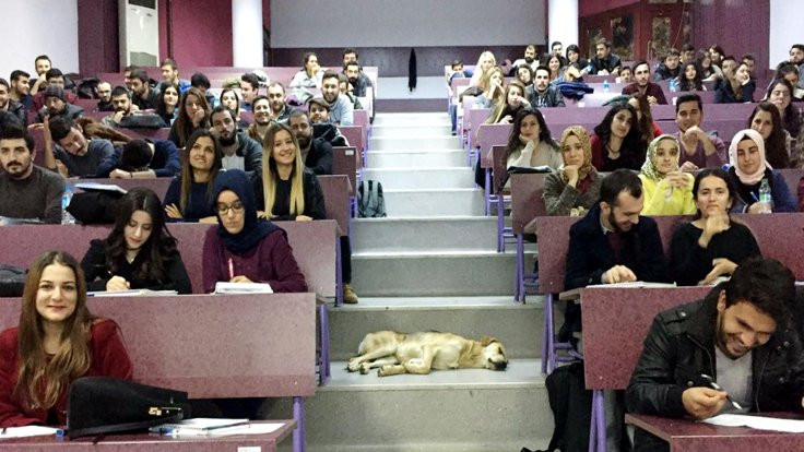 Üniversiteli köpeğin ilk dersi İktisadi Düşünce!