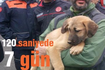 120 saniyede 7 gün