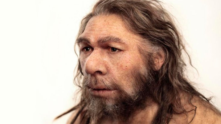 'Neandertaller modern varlıklardı'