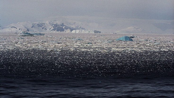 Antarktika dünyayı tehdit ediyor - Sayfa 4