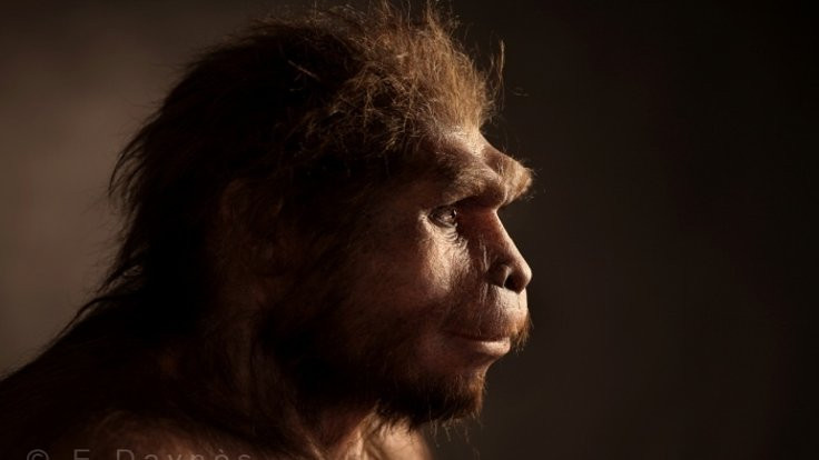 Neandertaller bizi şizofreniden korumuş