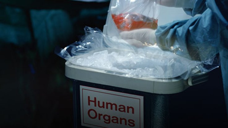 İki Türk'e organ ticareti suçlaması