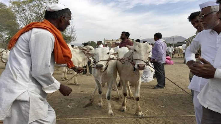 İki Müslüman inek çaldı iddiasıyla linç edildi
