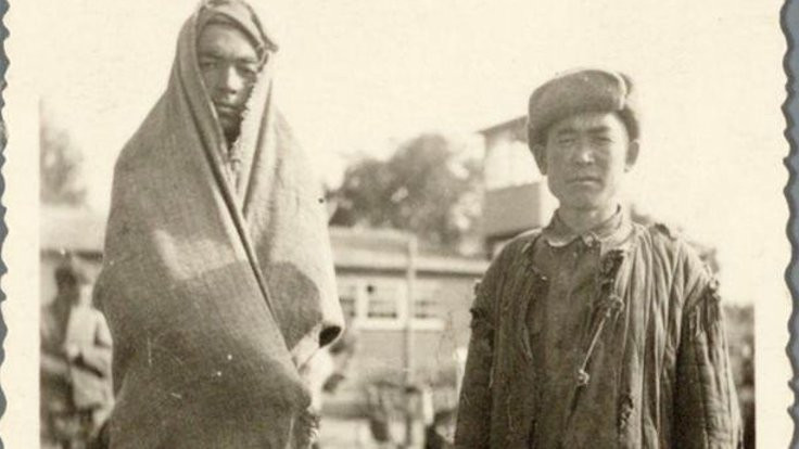 101 Orta Asyalı Hollanda'da neden öldürüldü?