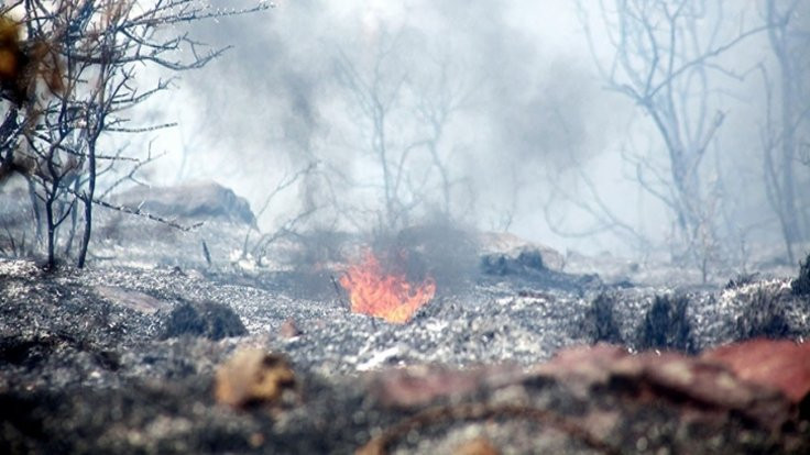 1 hektarlık maki yandı