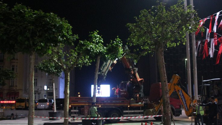 Taksim Meydanı'na 50 ağaç dikildi