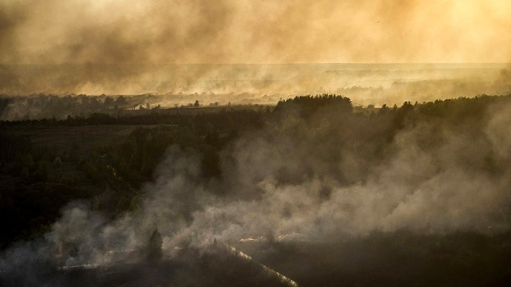 Çernobil'de büyük orman yangını