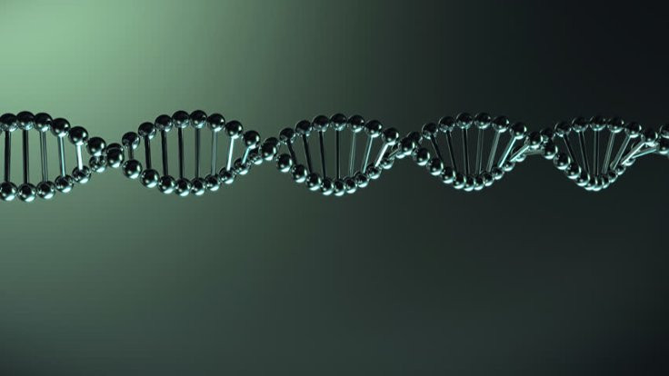 İnsan DNA’sı tamamen çözüldü