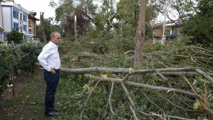 Fırtınada yüzlerce ağaç devrildi